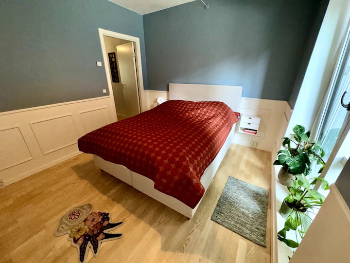 საძინებელი 1