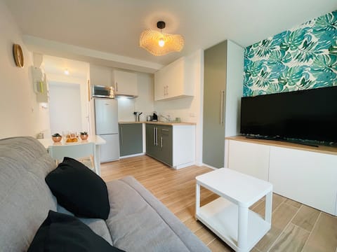 Studio 21 m2 RDC centre Lesneven