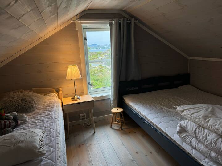 Сенг 150 см, сенг 90 см