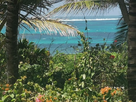 Kilifi Keys bofa 
 beach