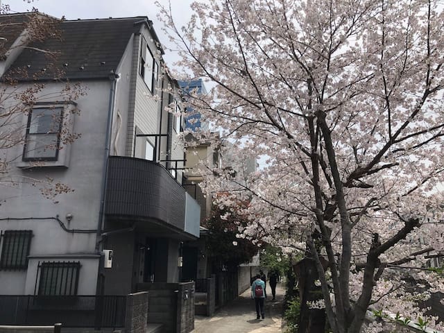 新宿＆渋谷&大久保近く!駅から5分。東京中心の私人别墅! 美しい桜と川(0ｍ)の眺め!専門会社の清掃