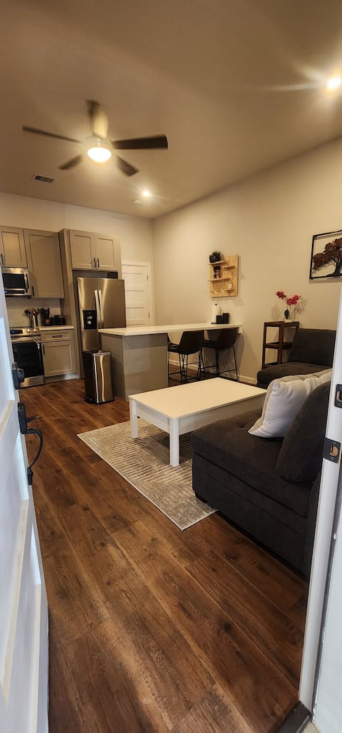 Successful Airbnb property: Hidden in plain sight gem! in Houston