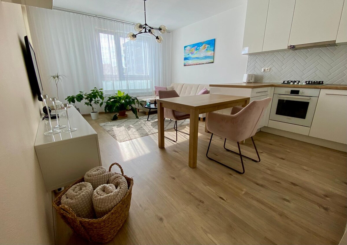 An open living space features a modern kitchen area complemented by light wood cabinetry and a dining table with four chairs. A cozy seating area is arranged with two soft pink chairs and a coffee table. Large windows allow natural light to fill the room, enhancing the greenery from potted plants.
