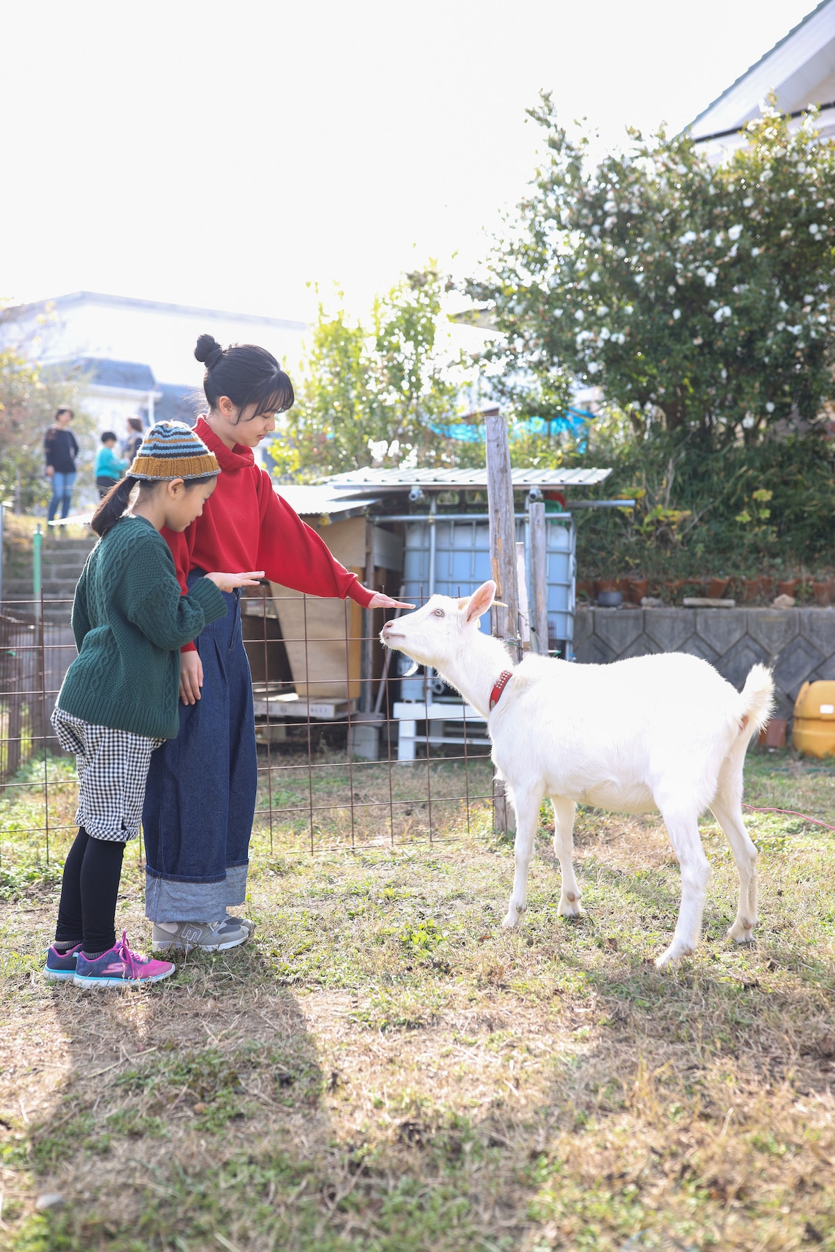 Two children are seen interacting with a friendly white goat in a grassy area. One child is kneeling while the other stands nearby, both reaching out to gently pet the goat. Natural greenery and a rustic backdrop are present.