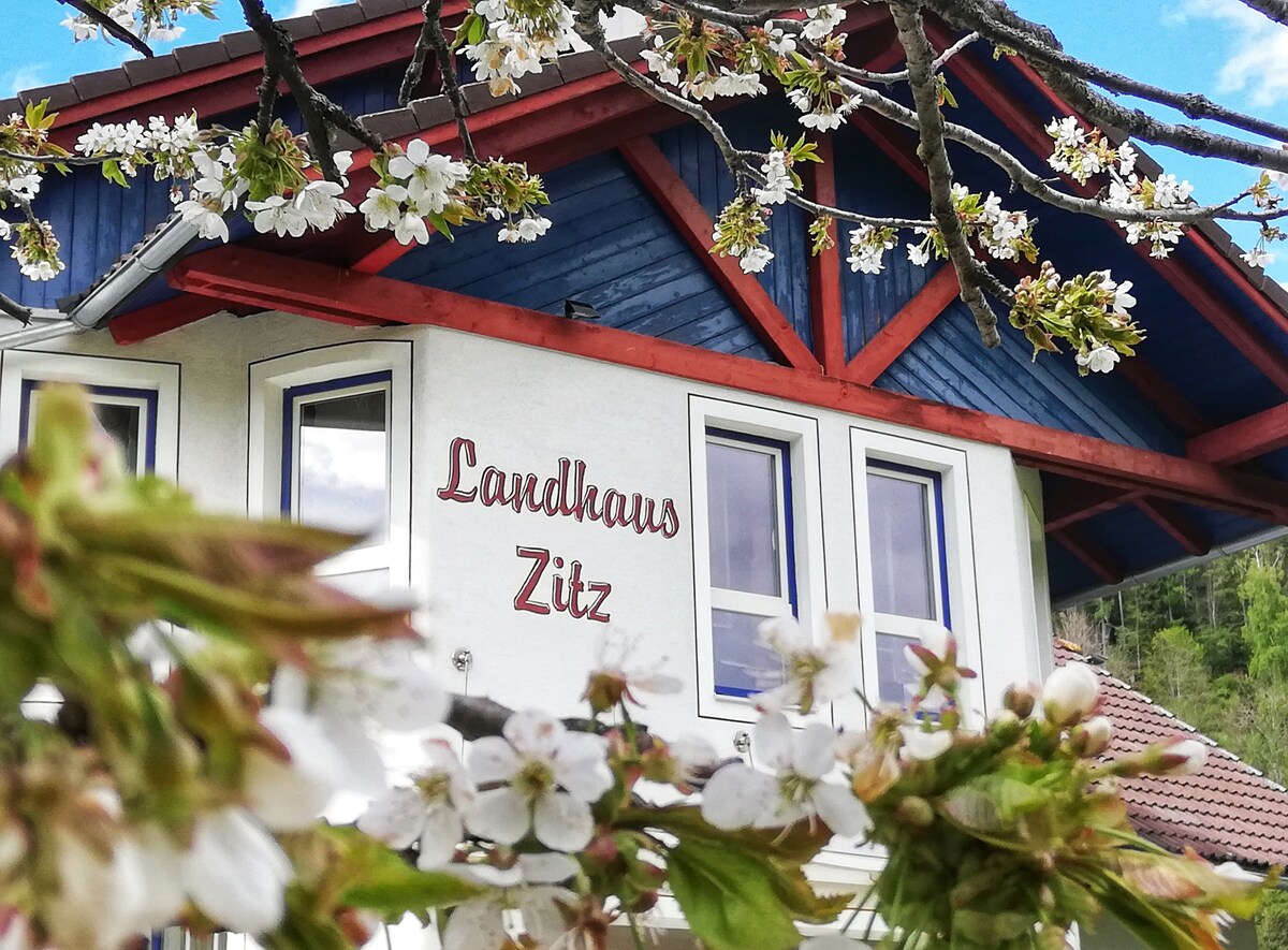 The exterior of a charming building features a vibrant blue roof and white walls, with the name 'Landhaus Zitz' displayed prominently. Delicate white flowers frame the image, enhancing the peaceful and inviting setting.