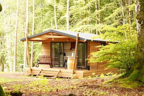 Chalet in the hollow of woods