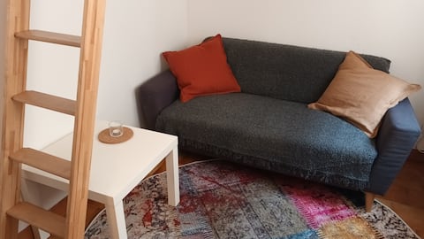 Successful Airbnb property: Small Cute - Downtown in Toulouse