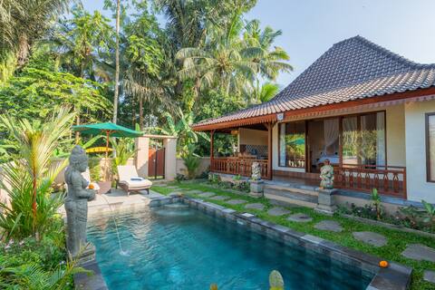 Harmonious Private Villa w/Pool (NEW)