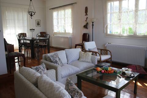 Successful Airbnb property: House Georgia in Περιφερειακή Ενότητα Λευκάδας
