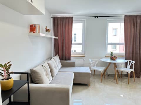Successful Airbnb property: Spacious Studio w/Big Bed, Netflix & Free Parking in Psie Pole Zawidawie