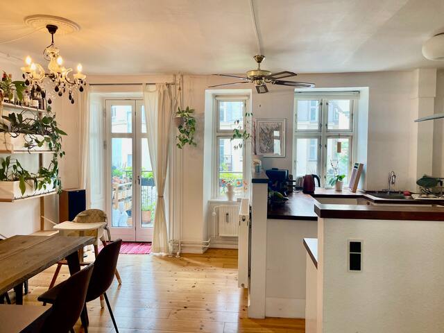 Best location, Big Family Flat Downtown Copenhagen