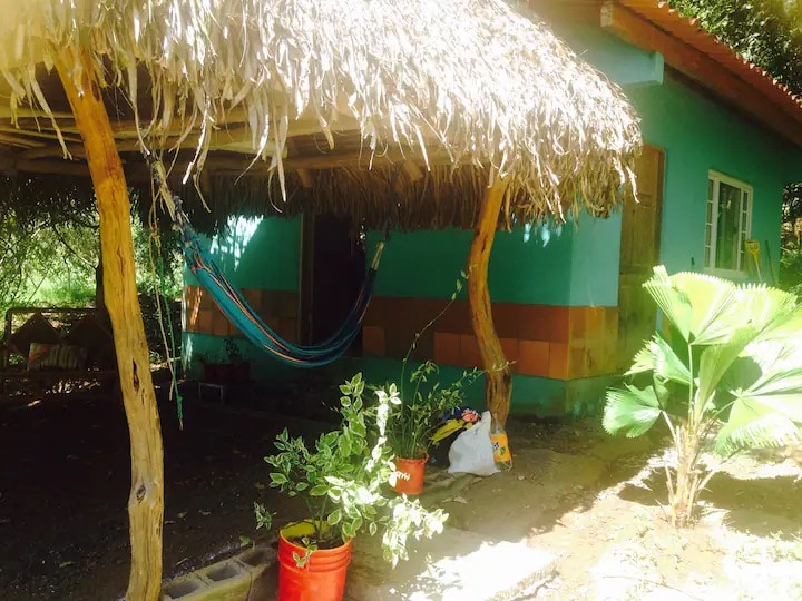 A charming outdoor space features a thatched roof shelter supported by wooden posts. Two hammocks are suspended beneath, offering a relaxed setting. Colorful potted plants and vibrant local foliage surround the area, while a cottage with a teal exterior is visible in the background.
