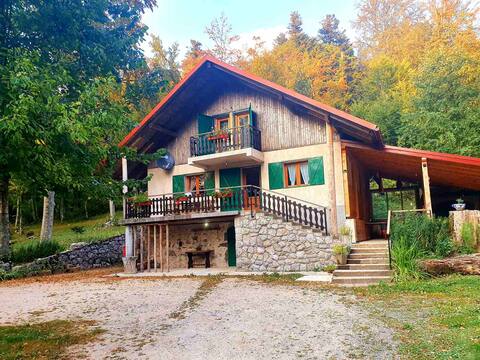 Croatia, Holiday Forest house, close to the sea
