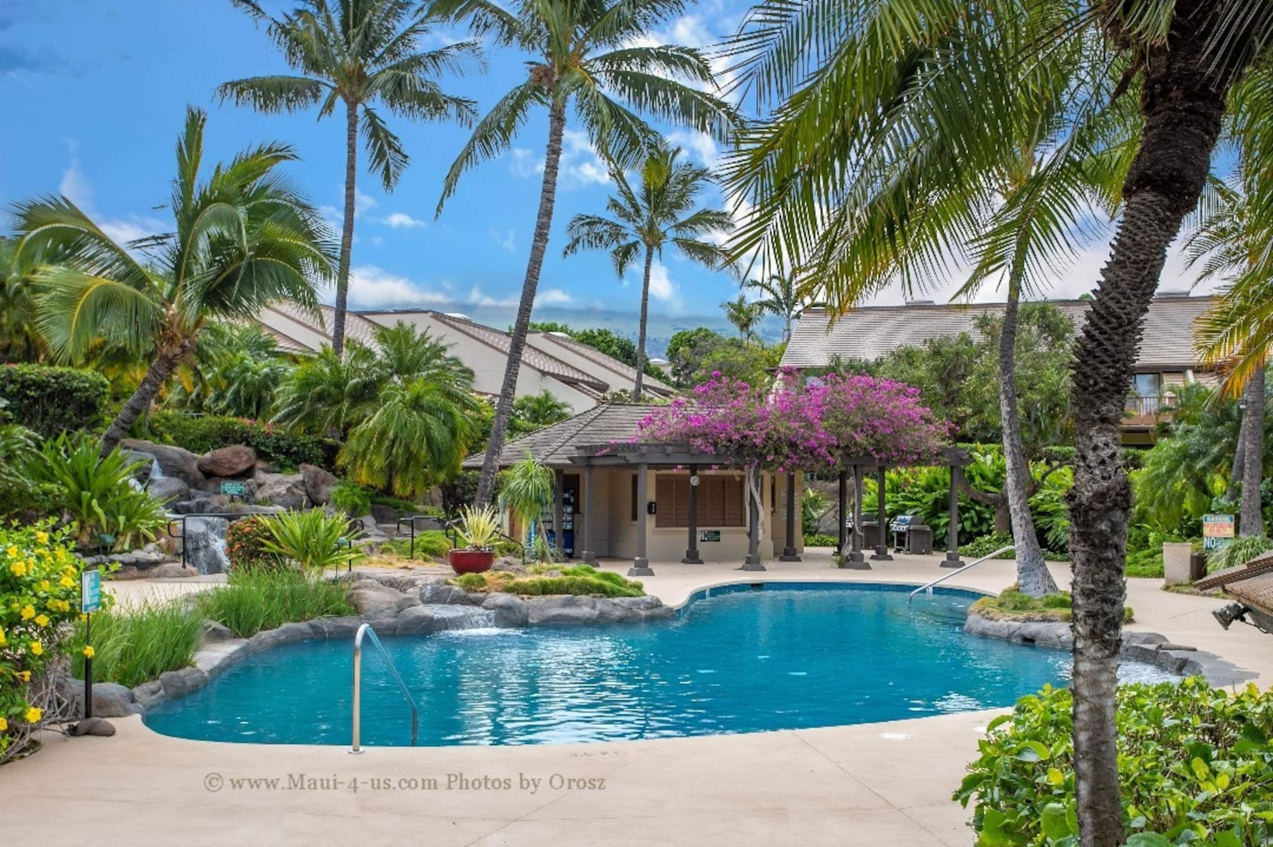Maui Kamaole B114 Beach Retreat summer specials - Image 19