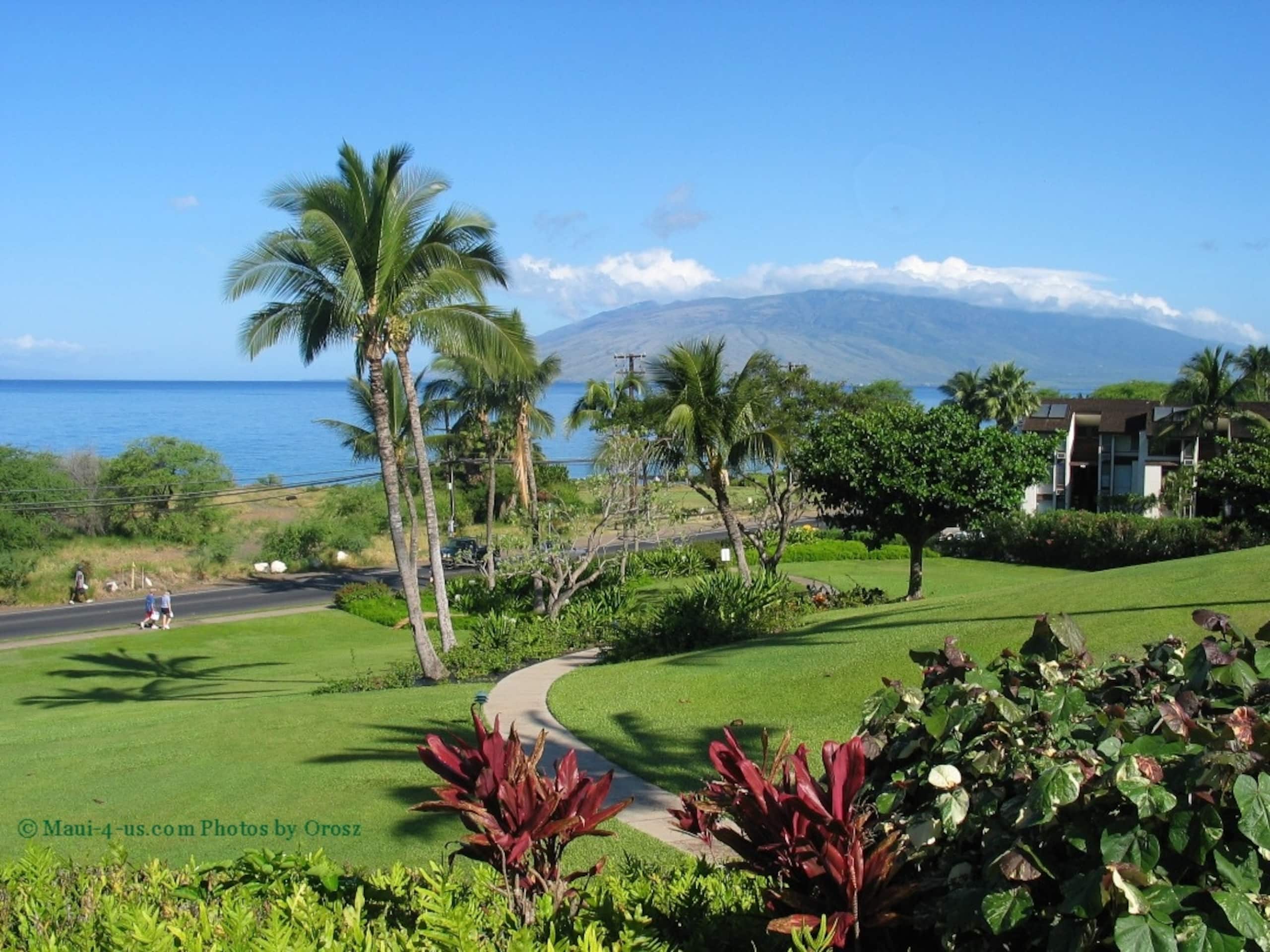 Maui Kamaole B114 Beach Retreat summer specials - Image 1