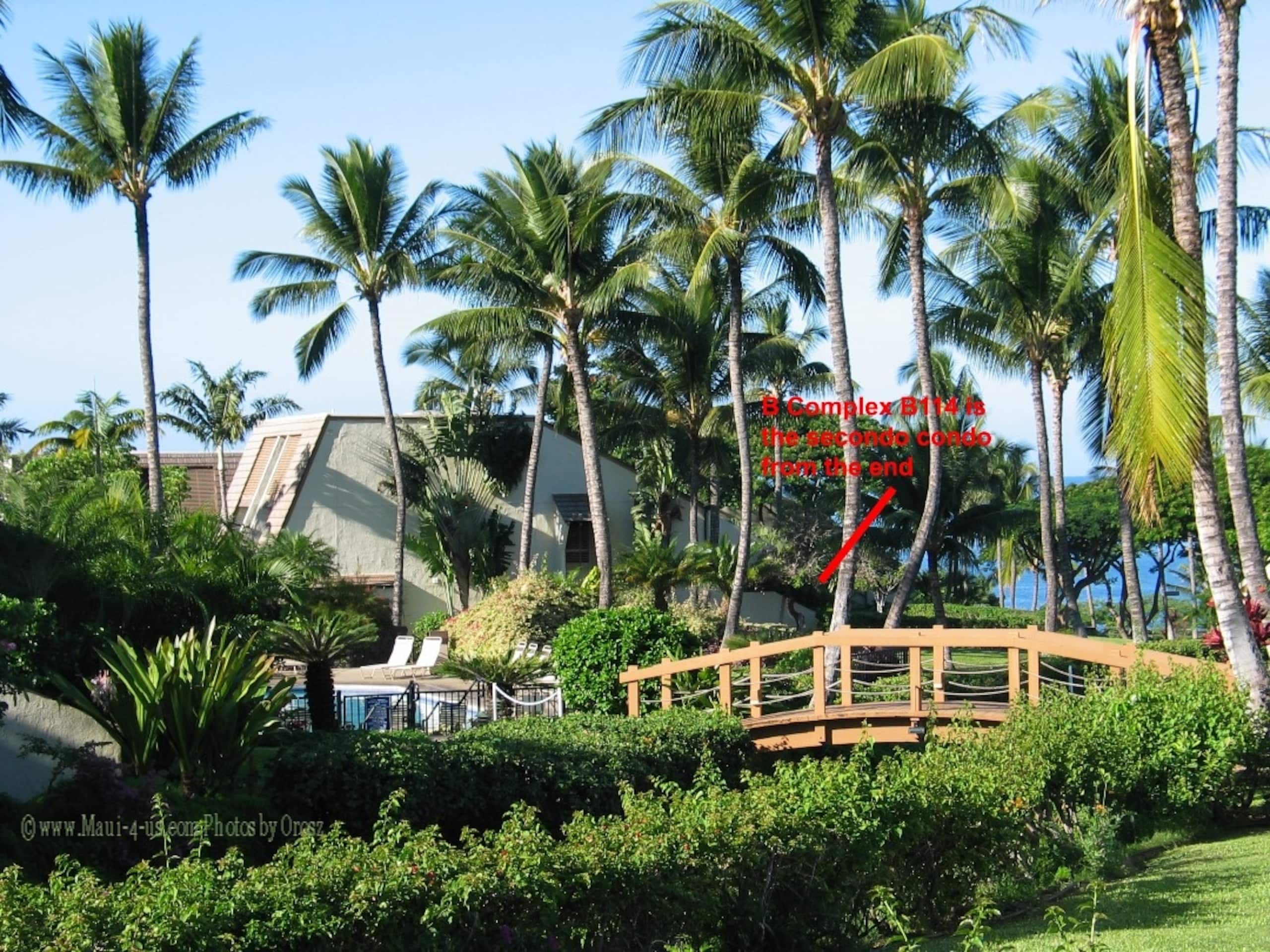 Maui Kamaole B114 Beach Retreat summer specials - Image 23