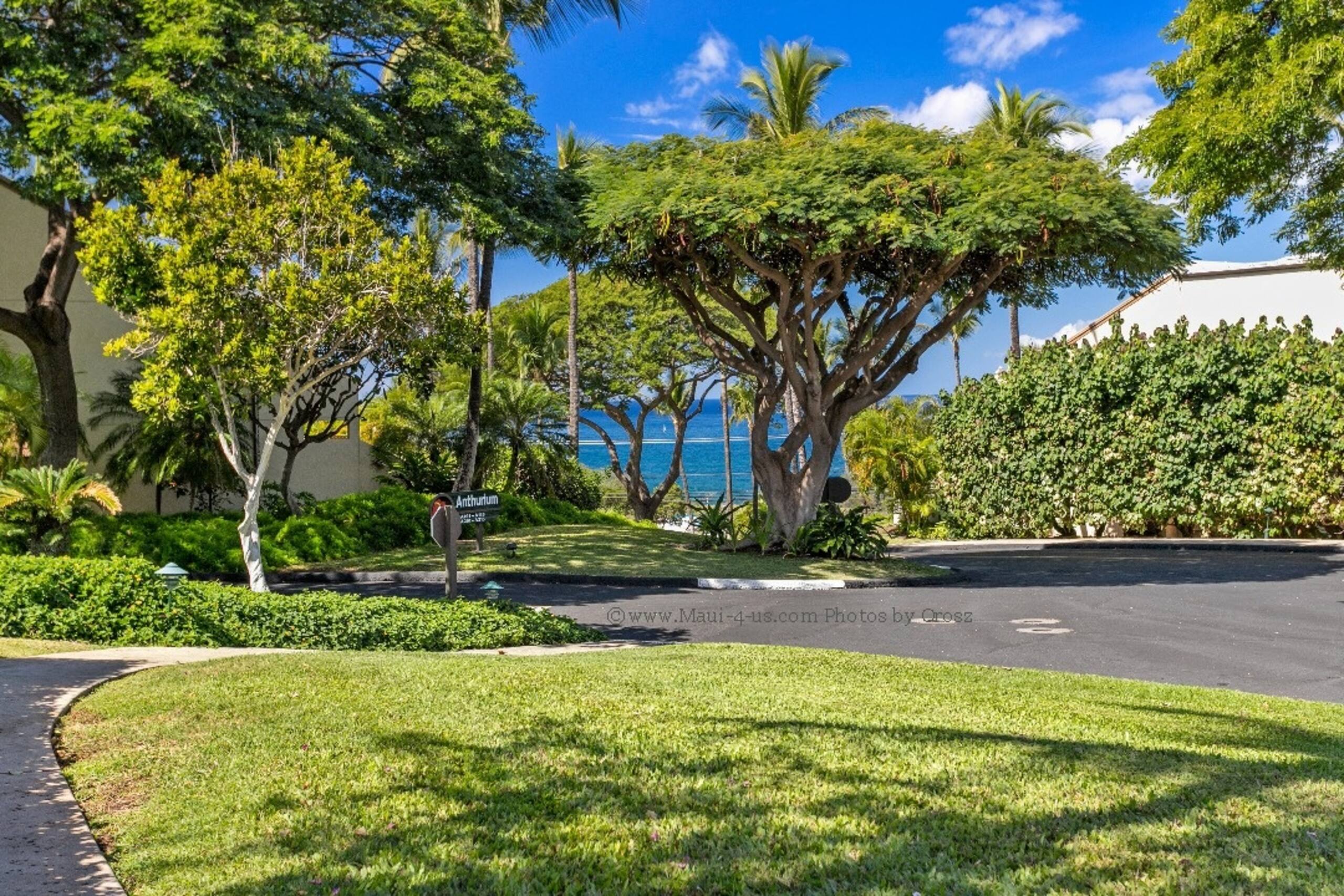 Maui Kamaole B114 Beach Retreat summer specials - Image 24