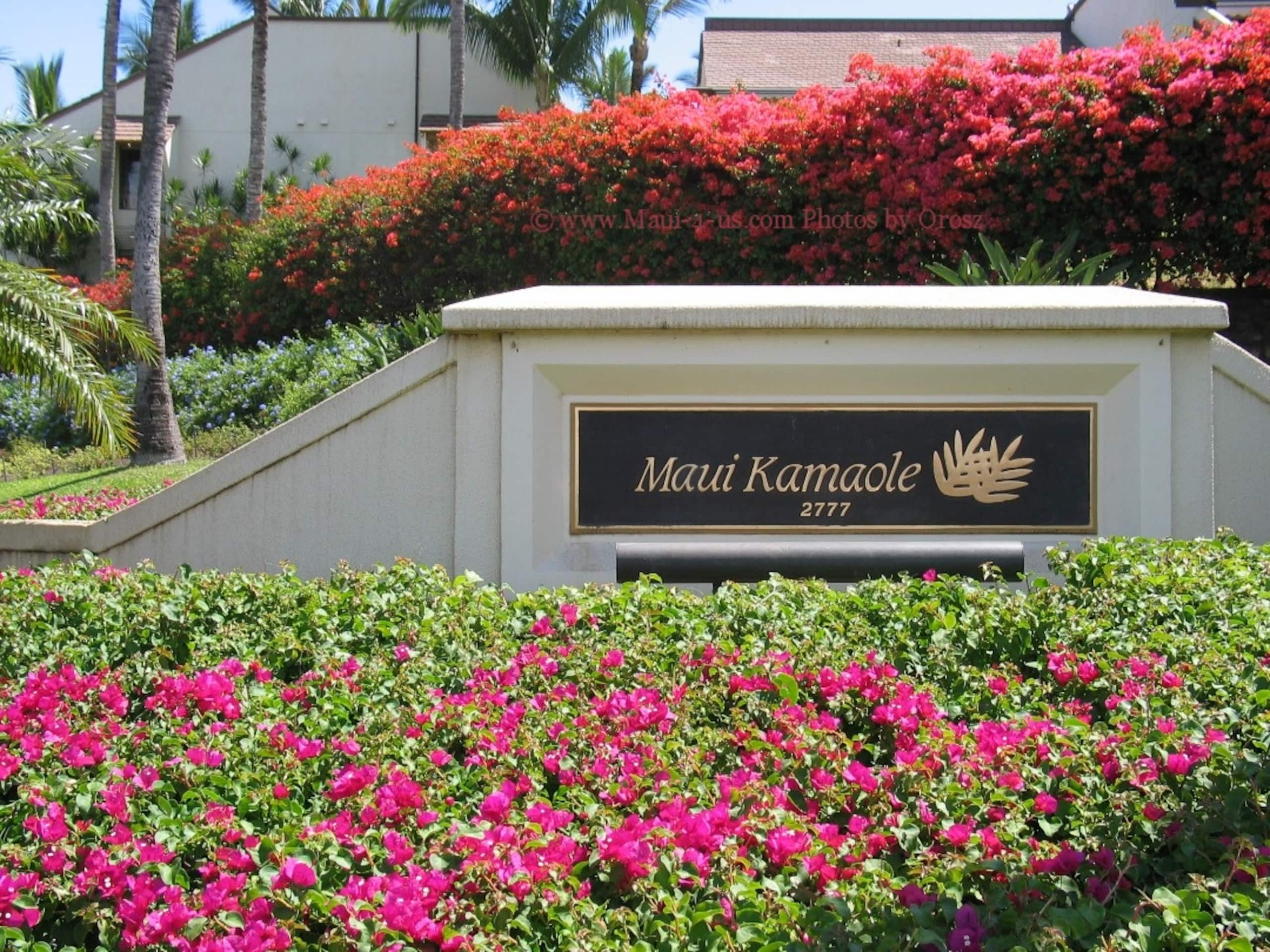 Maui Kamaole B114 Beach Retreat summer specials - Image 22