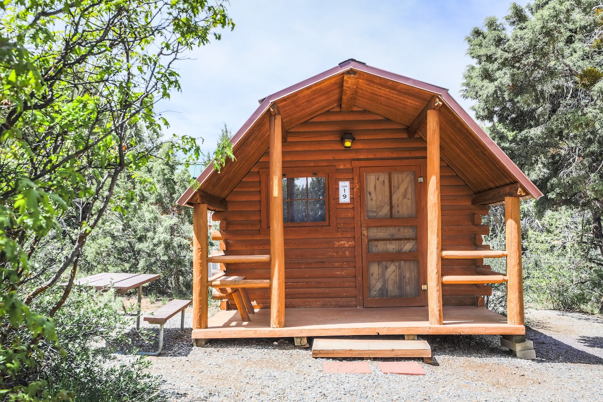 A rustic cabin is presented with a wood exterior and a spacious front porch. Natural surroundings are visible, featuring trees and gravel pathways. A simple picnic table is situated nearby, complementing the inviting outdoor space.