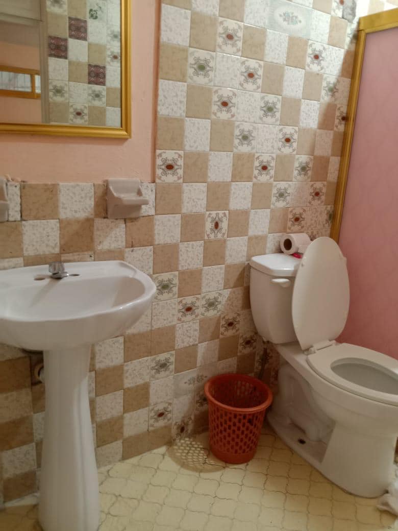 The bathroom features a sink with a pedestal design and a closed toilet. A wastebasket is positioned on the floor, and the walls are adorned with a decorative tiled pattern in earthy tones, complemented by a full-length mirror framed in gold.