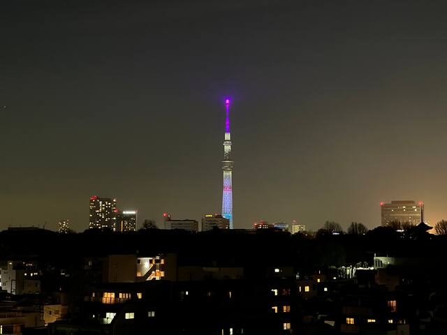 根津デュプレックスアットテラス東京セントラルステイ 2~10人新宿/渋谷/銀座/築地/浅草/原宿近い gallery image 3