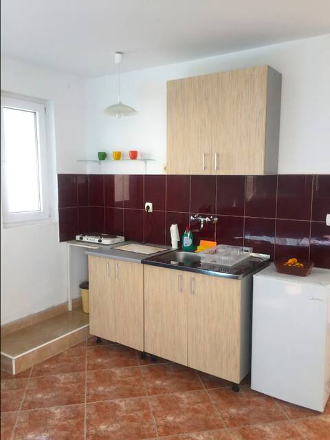 Successful Airbnb property: Apartment with Swimming Pool in Pečurice