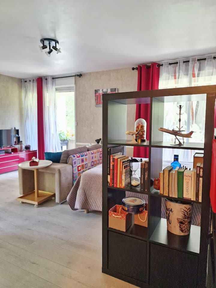 Sympa Studio Au Sud De Toulouse - Castanet-Tolosan