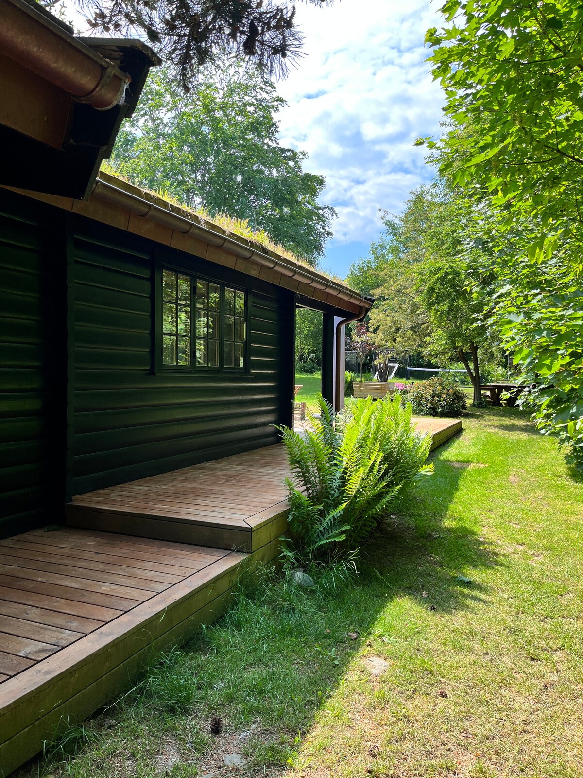 The image displays the exterior of a wooden cabin with a sloping roof. A wooden deck extends along one side, surrounded by lush greenery. Large windows allow natural light to illuminate the interior. A serene natural landscape is visible in the background.