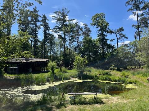 our wellness in the woods
