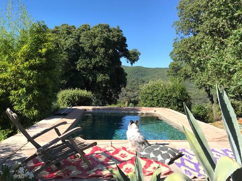Artist's house with Bassin cœur des  Cévennes