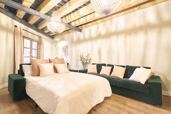 Apartamento Balcón Plaza Reserve Five Star - Salamanque