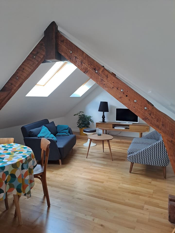Appartement Cosy 2/4 Personnes (Avec Parking) - Nantes