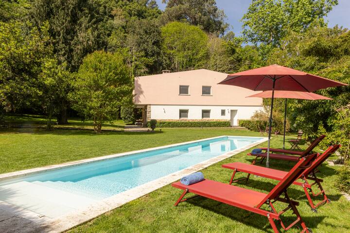 Casa da Ribeira gallery image 5