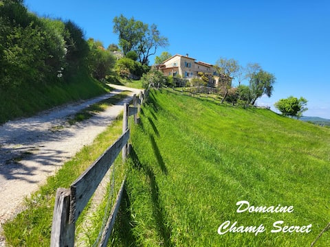 New "Secret Field" House