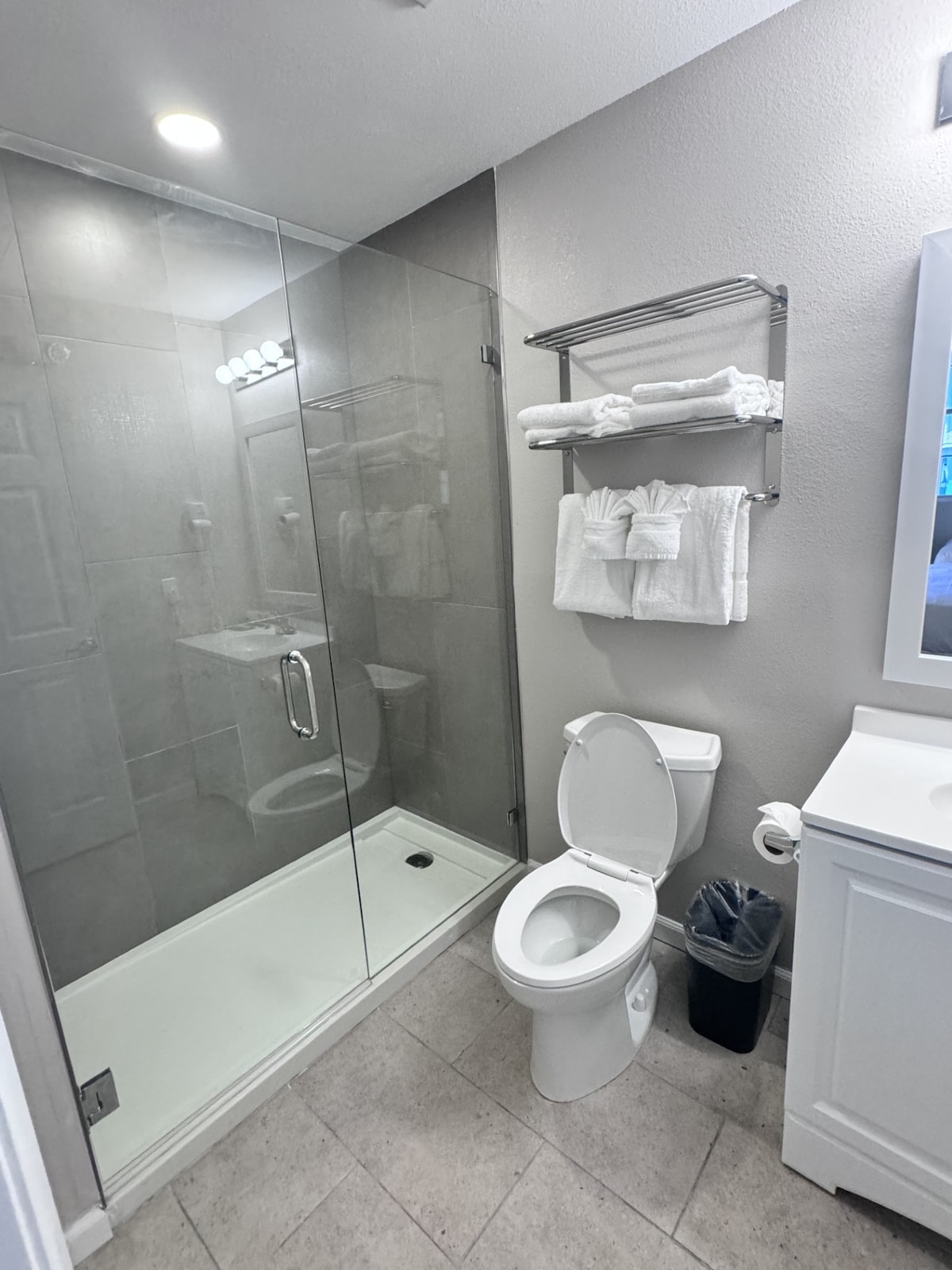 A modern bathroom is featured, highlighting a glass-enclosed shower with a tiled interior. White towels are neatly arranged on a metal rack. A white toilet and a vanity with a mirror complete the space, which is illuminated by overhead lighting.