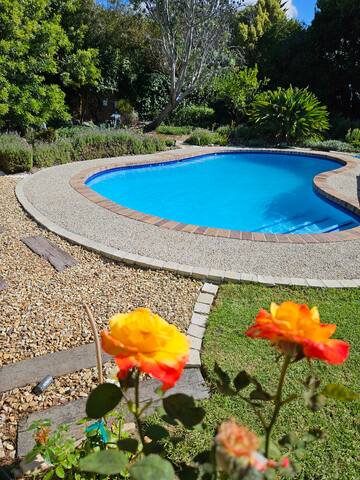 Wanderlust in Constantia