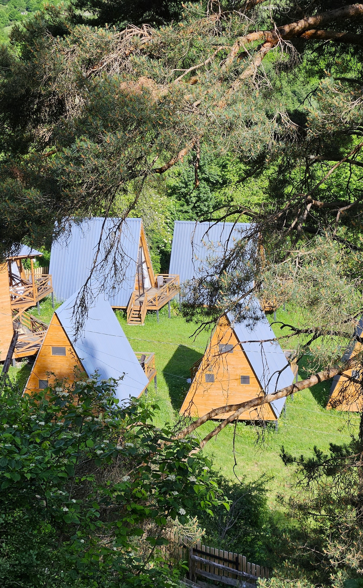 Several wooden A-frame cottages with blue roofs are nestled in a lush green landscape, surrounded by trees. The vibrant greenery and natural setting create a serene backdrop, offering a sense of privacy and connection to nature.