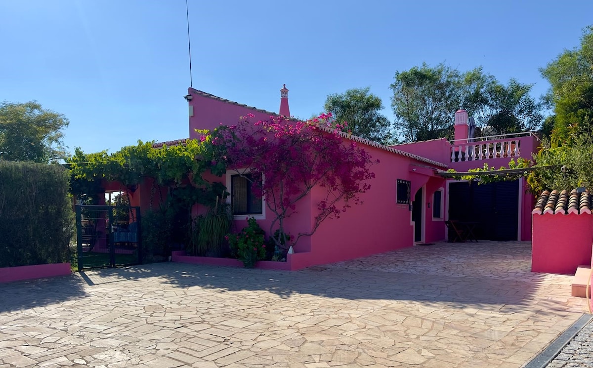 A charming pink villa is surrounded by lush greenery and vibrant flowers. The exterior features a textured stone driveway leading to the entrance, with a terrace adorned by railings visible on the side. Clear blue skies provide a bright backdrop to the inviting setting.