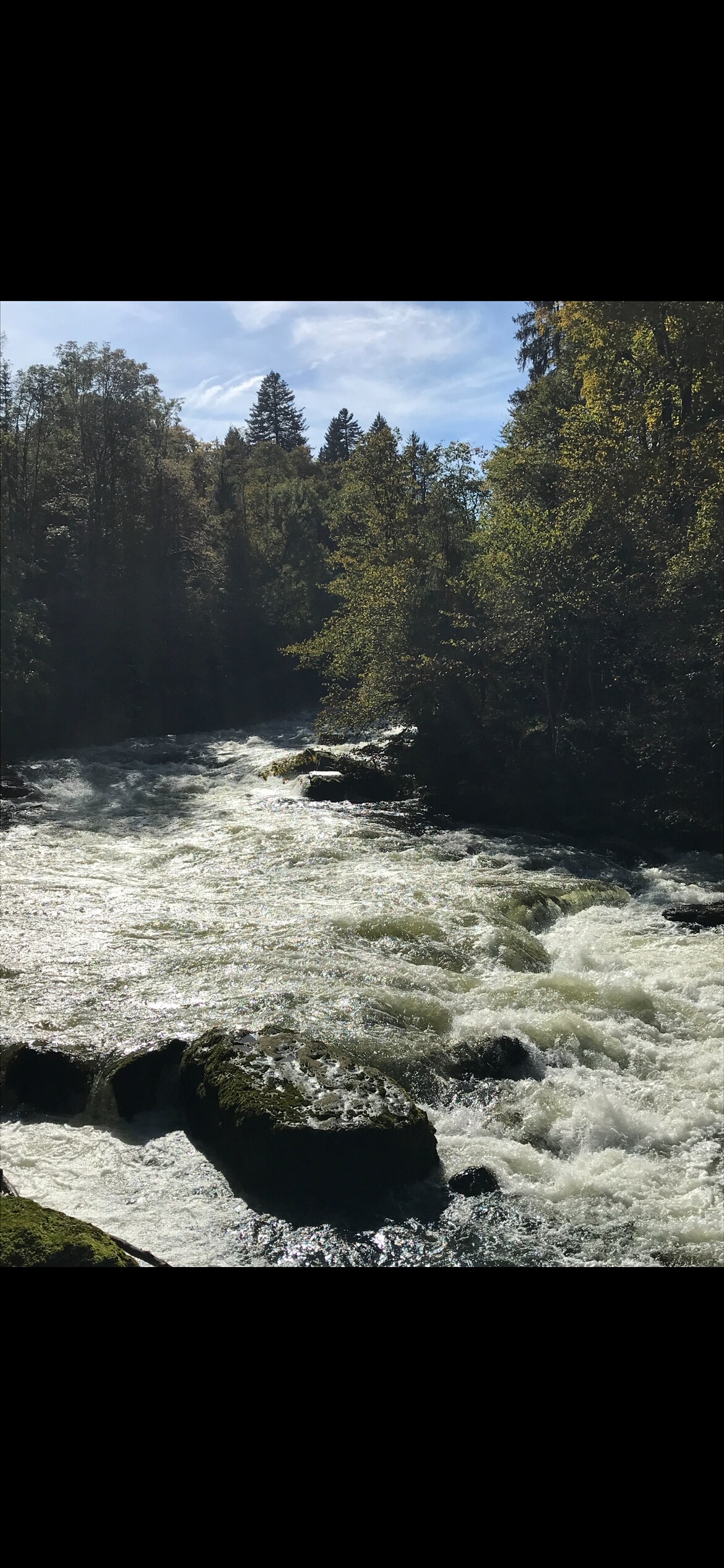 A flowing river is depicted, surrounded by lush green trees under a clear sky. Sunlight reflects off the water's surface, creating a shimmering effect. Smooth rocks are visible within the river, adding to the natural landscape.