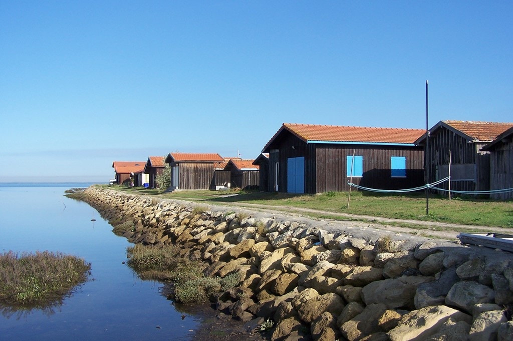 Top performing Airbnb: 26 m2 Studio, "Le Petit Larros" in Gujan Mestras
