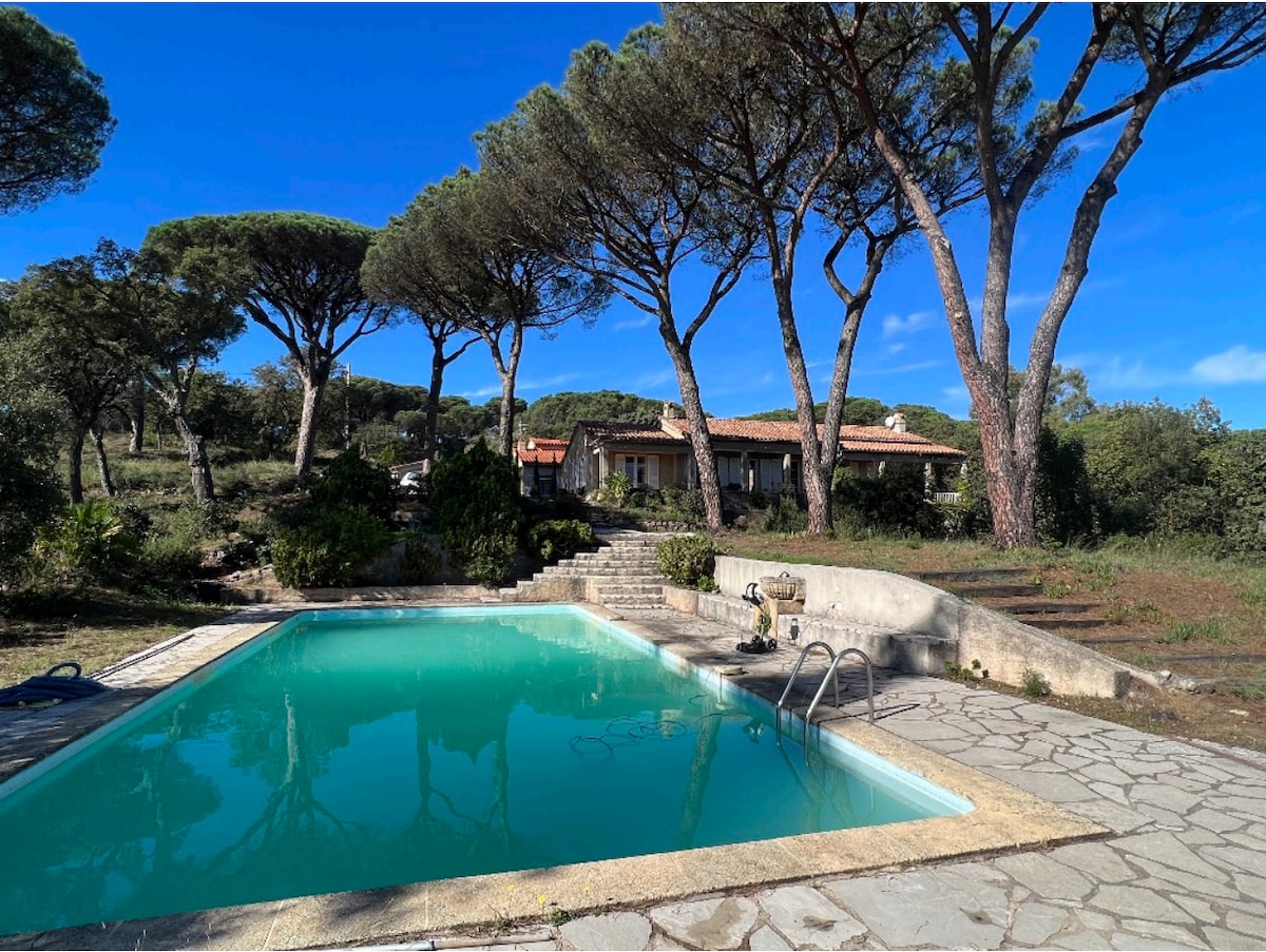 A private swimming pool with a clear turquoise surface is surrounded by a stone patio and shaded by tall pine trees. In the background, a villa is visible, nestled among the greenery and offering a serene view of the natural landscape.