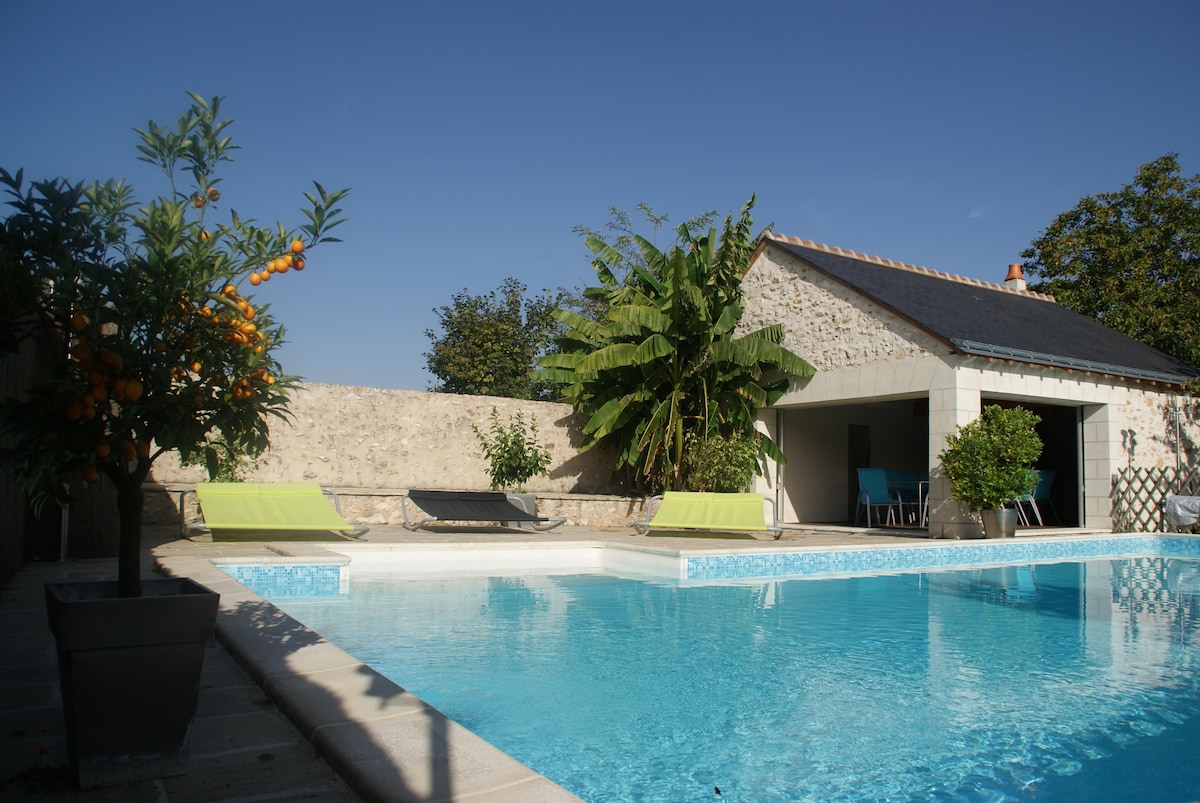 The image features a refreshing blue swimming pool surrounded by a stone patio. Comfortable lounge chairs are positioned next to the pool. Lush greenery and a citrus tree add a touch of nature, while a covered seating area is visible in the background.