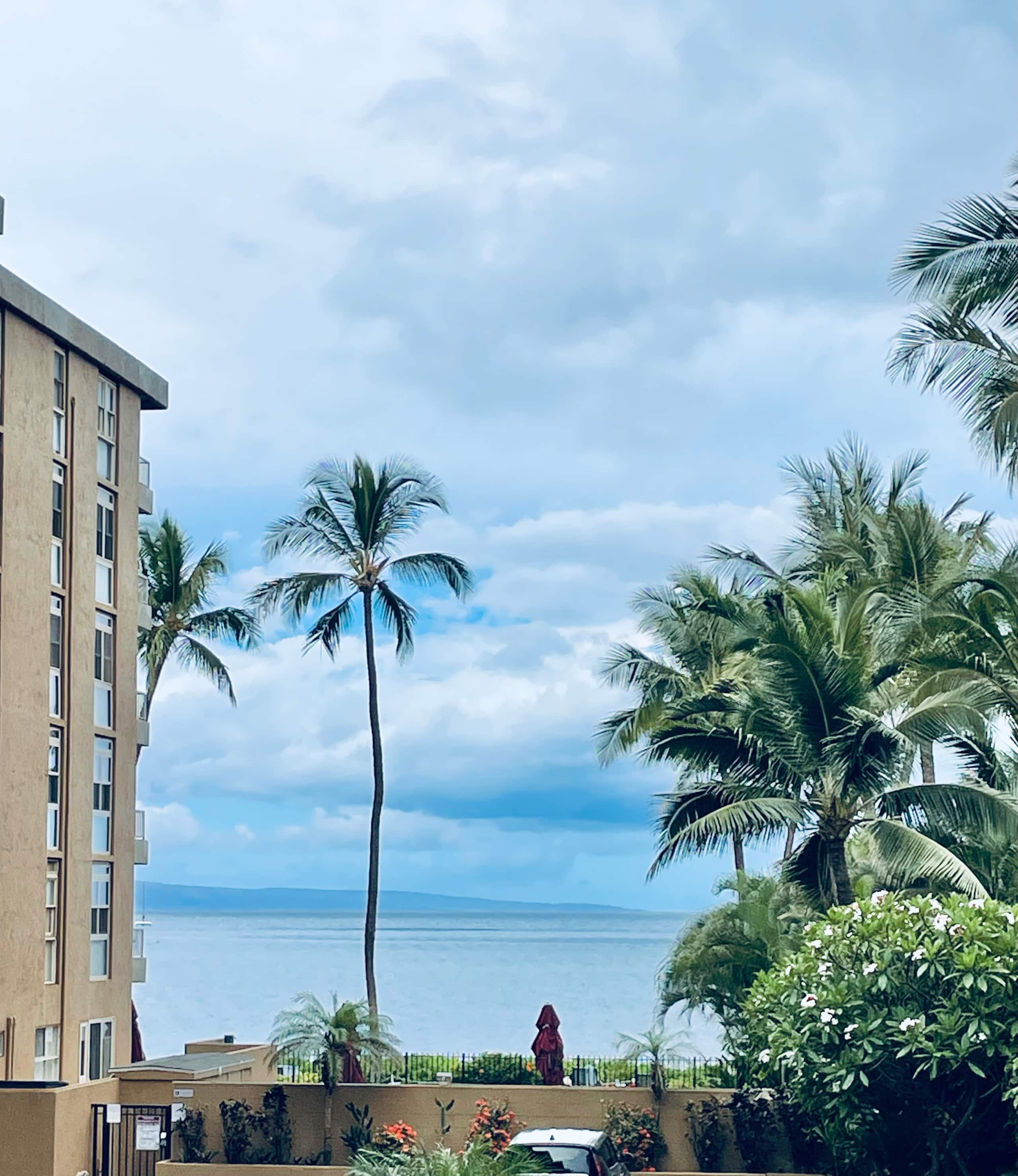 High-end, On Beach, View Balcony, with Pool & BBQ! - Image 30
