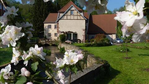 Gîte "L 'Amont" at Moulin Trumpf
