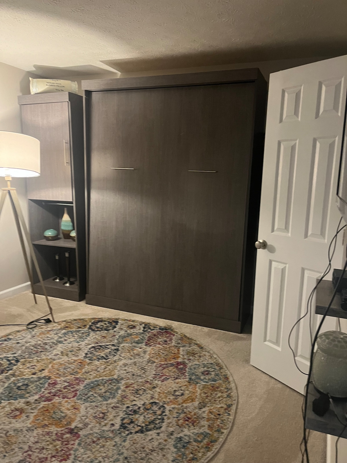 A compact living area features a Murphy bed, seamlessly integrated into the wall unit, optimizing space. A floor lamp and shelf with decorative items add character. A round, colorful area rug anchors the room, complemented by light-colored walls and an open white door.