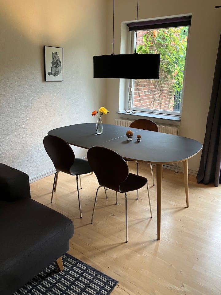 Right By The River And With A Big Terrace! - Odense