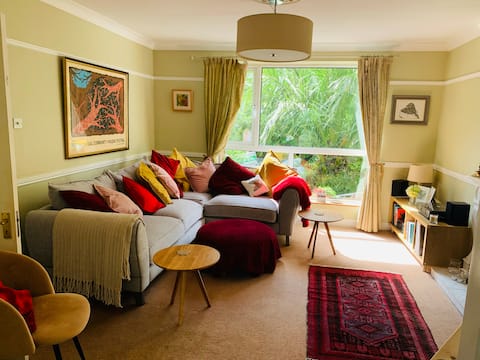 Beautiful home in Killiney