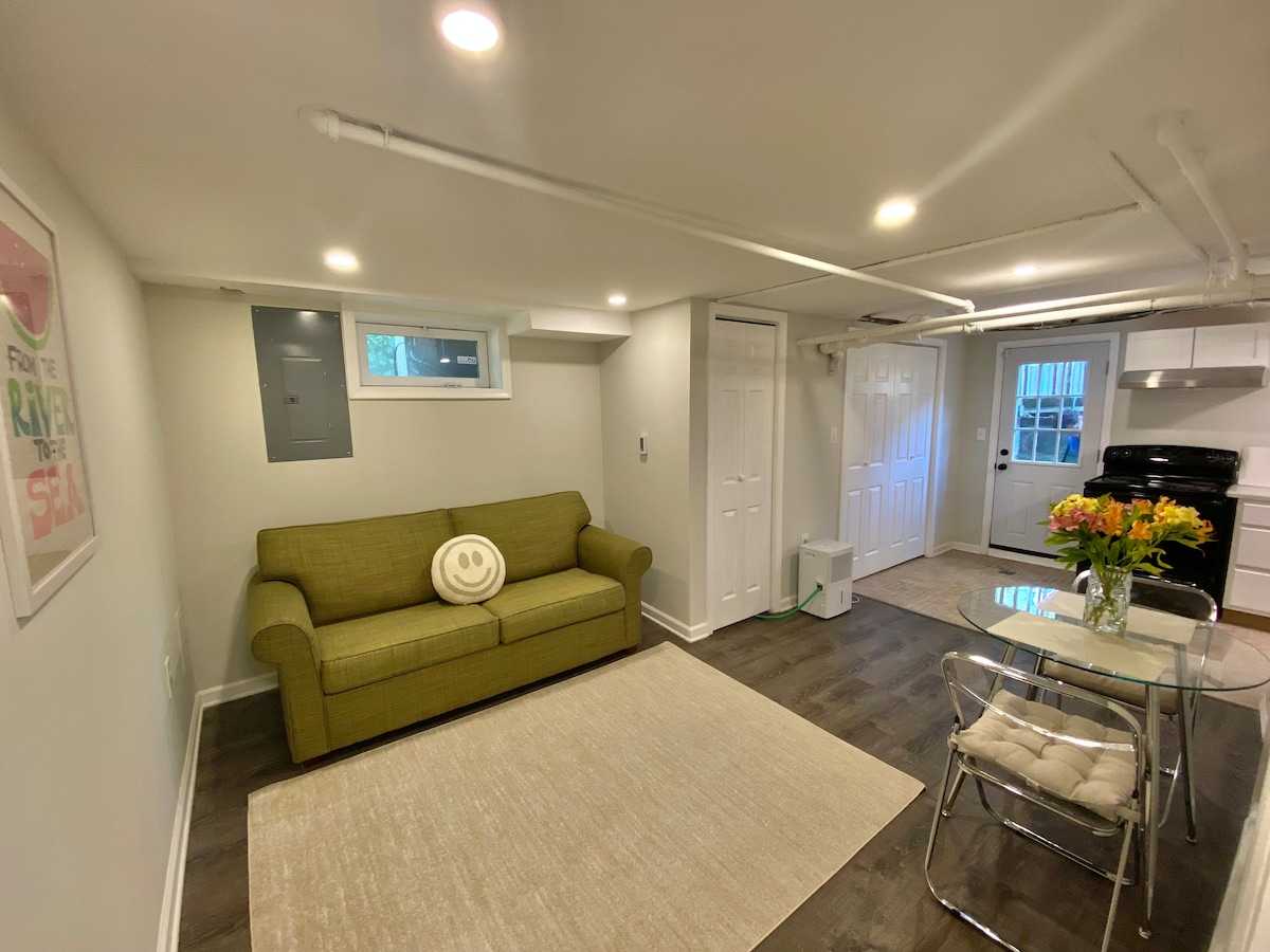 A living area is shown with a green sofa featuring a circular pillow. A rectangular area rug is laid on the dark flooring. A small dining table with transparent chairs is positioned beside a window. Natural light brightens the space, complemented by modern appliances in the background.