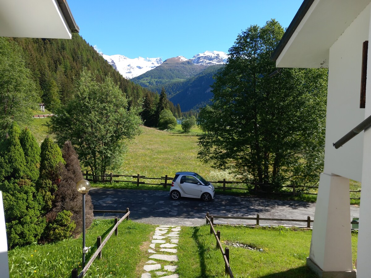 A serene landscape is visible from the property, featuring rolling green fields and distant snow-capped mountains. A well-maintained path made of stones leads from the entrance toward a private road, where a compact car is parked. Lush trees line the view.