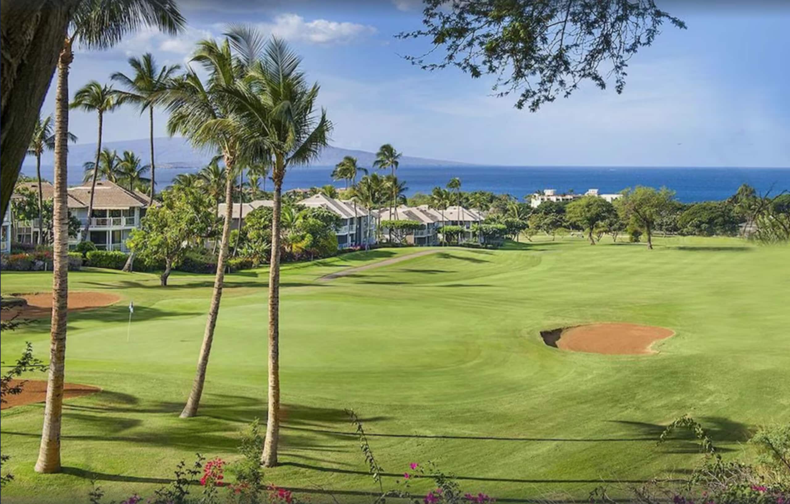 Lowest rates in Wailea right now! Spacious 5-star - Image 20
